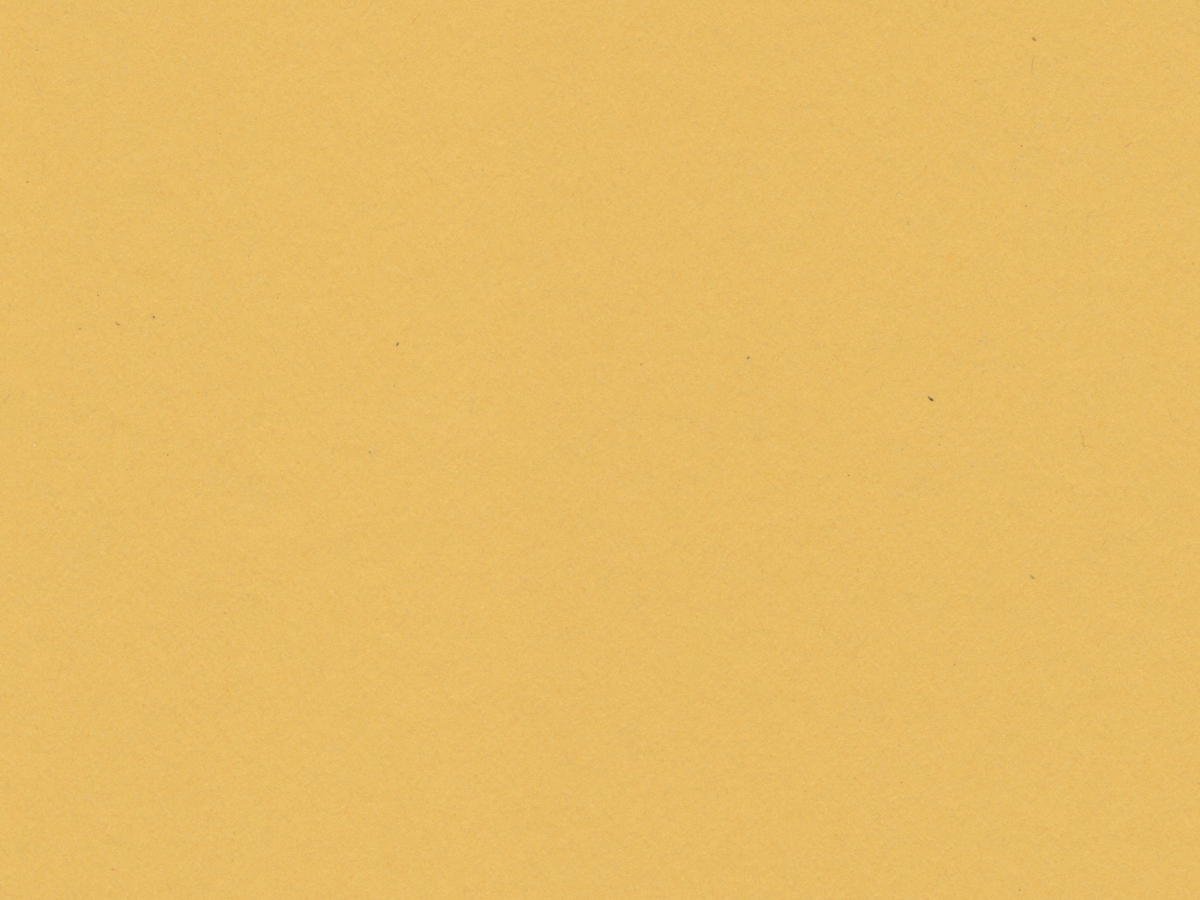 Berkeley Premium White Core Matboard<br />Chamois<br />32x40 4-Ply